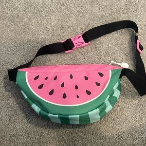 Fanny pack or cross body bag